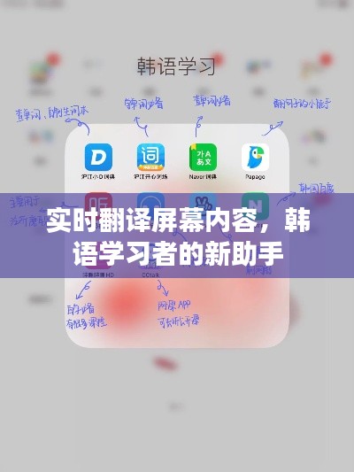 实时翻译屏幕内容，韩语学习者的新助手