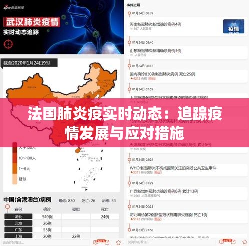 法国肺炎疫实时动态：追踪疫情发展与应对措施
