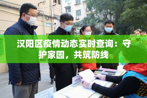 汉阳区疫情动态实时查询：守护家园，共筑防线