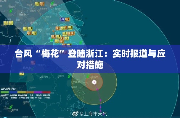 台风“梅花”登陆浙江：实时报道与应对措施