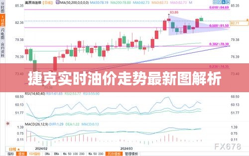 捷克实时油价走势最新图解析