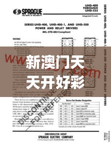 新澳门天天开好彩大全开奖记录353期,准确资料解释定义_UHD款2.461