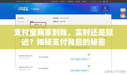 支付宝商家到账，实时还是延迟？揭秘支付背后的秘密