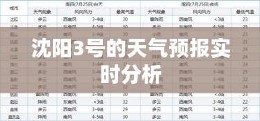 沈阳3号的天气预报实时分析