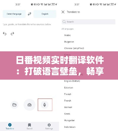 日番视频实时翻译软件：打破语言壁垒，畅享二次元世界