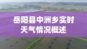 岳阳县中洲乡实时天气情况概述