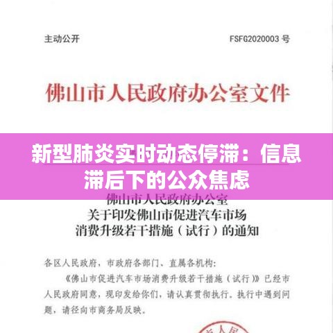 新型肺炎实时动态停滞：信息滞后下的公众焦虑