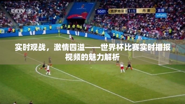 实时观战，激情四溢——世界杯比赛实时播报视频的魅力解析