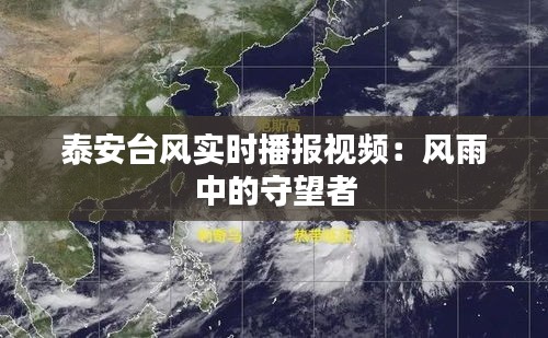 泰安台风实时播报视频：风雨中的守望者