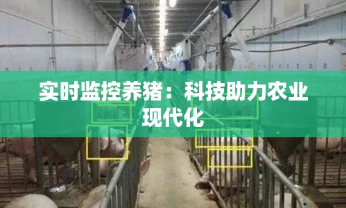 实时监控养猪：科技助力农业现代化