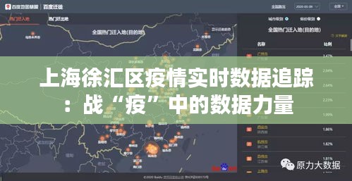 上海徐汇区疫情实时数据追踪：战“疫”中的数据力量