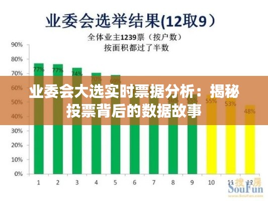 业委会大选实时票据分析：揭秘投票背后的数据故事