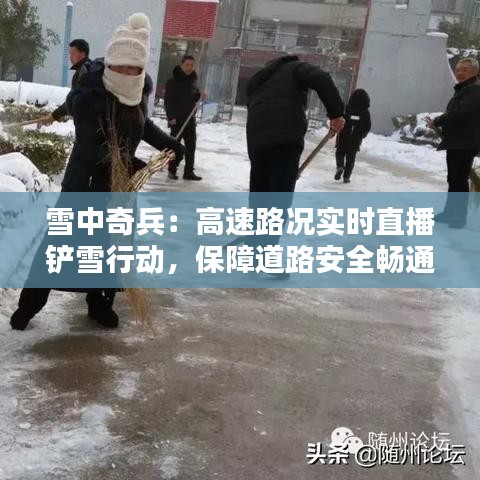 雪中奇兵：高速路况实时直播铲雪行动，保障道路安全畅通