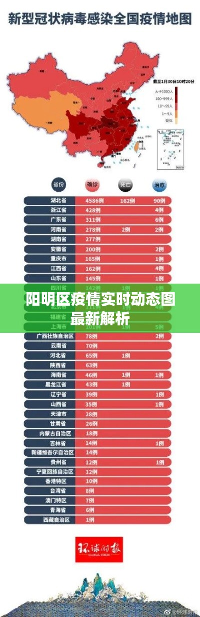 阳明区疫情实时动态图最新解析