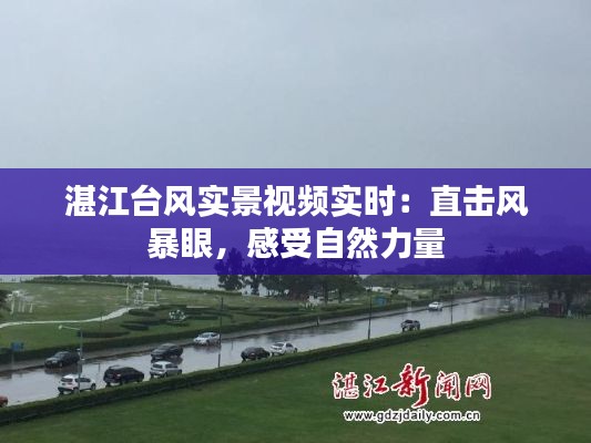 湛江台风实景视频实时：直击风暴眼，感受自然力量