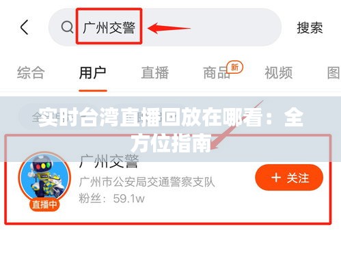 实时台湾直播回放在哪看：全方位指南