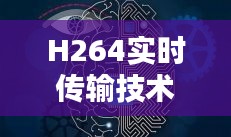 2024年12月20日 第11页