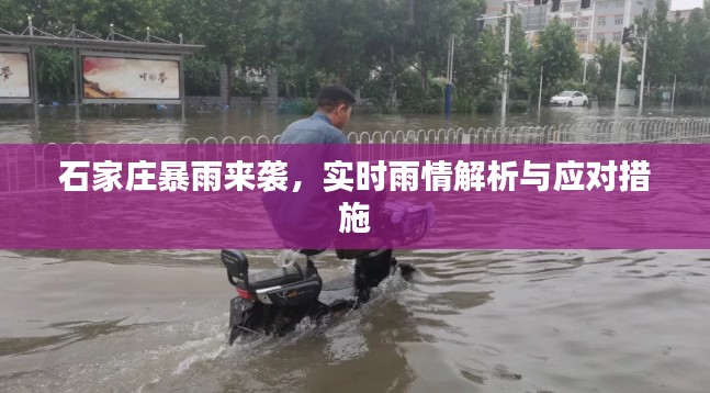 石家庄暴雨来袭，实时雨情解析与应对措施