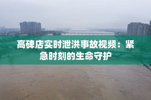 高碑店实时泄洪事故视频：紧急时刻的生命守护