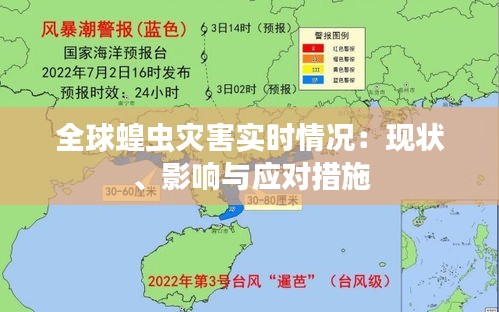 全球蝗虫灾害实时情况：现状、影响与应对措施