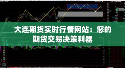 大连期货实时行情网站：您的期货交易决策利器