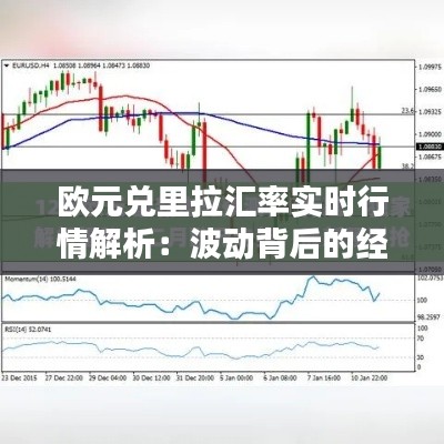 欧元兑里拉汇率实时行情解析：波动背后的经济因素