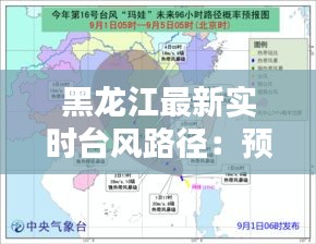 黑龙江最新实时台风路径：预警与应对措施