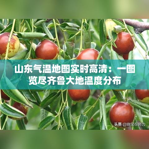 山东气温地图实时高清：一图览尽齐鲁大地温度分布