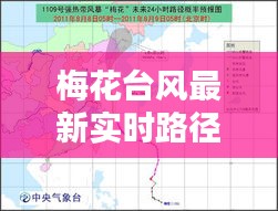 梅花台风最新实时路径：预警信息与应对措施