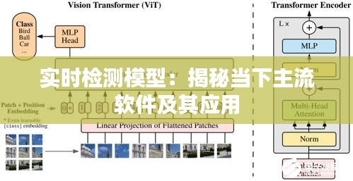 实时检测模型：揭秘当下主流软件及其应用