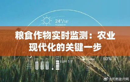 粮食作物实时监测：农业现代化的关键一步