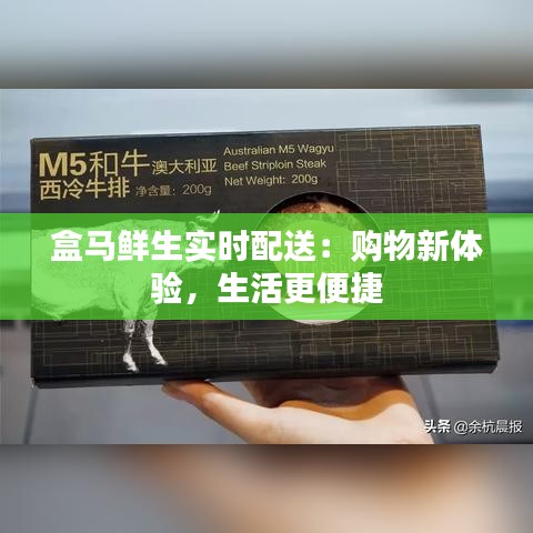 盒马鲜生实时配送：购物新体验，生活更便捷