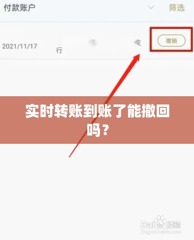 实时转账到账了能撤回吗？