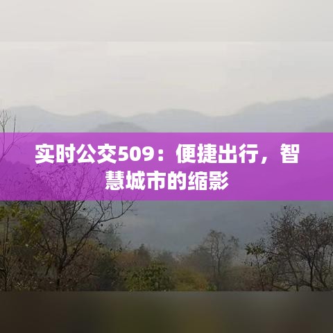 实时公交509：便捷出行，智慧城市的缩影