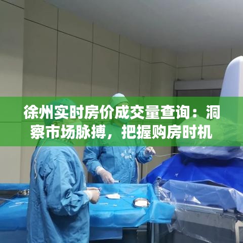 徐州实时房价成交量查询：洞察市场脉搏，把握购房时机