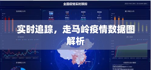 实时追踪，走马岭疫情数据图解析