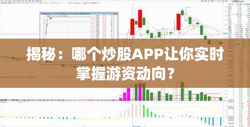 揭秘：哪个炒股APP让你实时掌握游资动向？