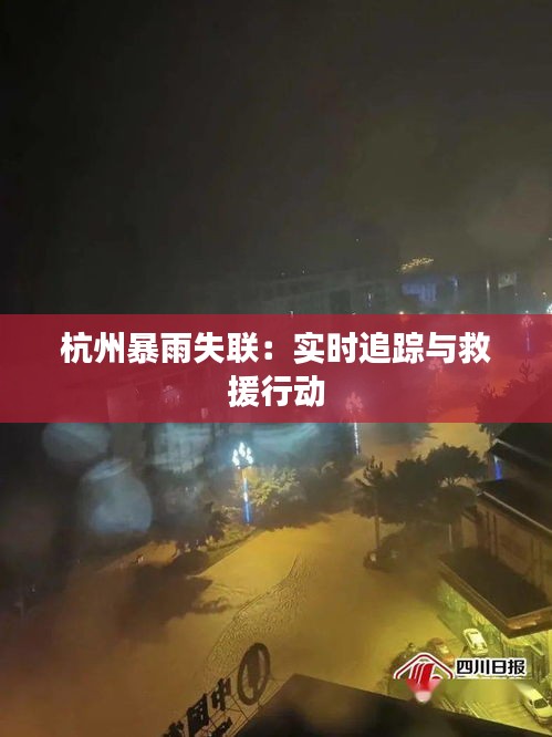 杭州暴雨失联：实时追踪与救援行动