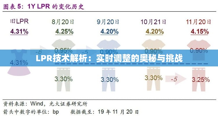 LPR技术解析：实时调整的奥秘与挑战