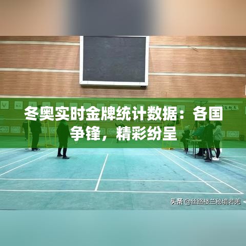 冬奥实时金牌统计数据：各国争锋，精彩纷呈