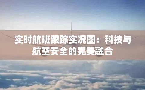 实时航班跟踪实况图：科技与航空安全的完美融合