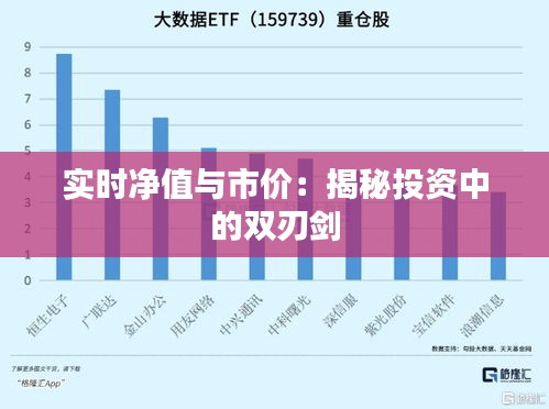 实时净值与市价：揭秘投资中的双刃剑