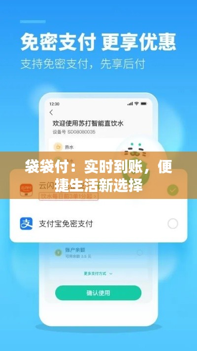 袋袋付：实时到账，便捷生活新选择