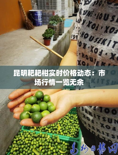 昆明耙耙柑实时价格动态：市场行情一览无余