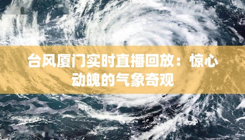 台风厦门实时直播回放：惊心动魄的气象奇观