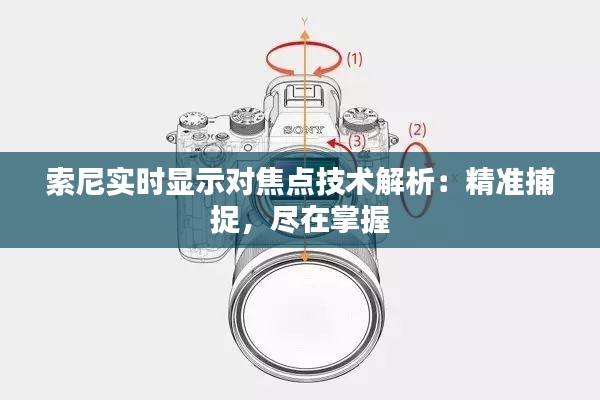 索尼实时显示对焦点技术解析：精准捕捉，尽在掌握