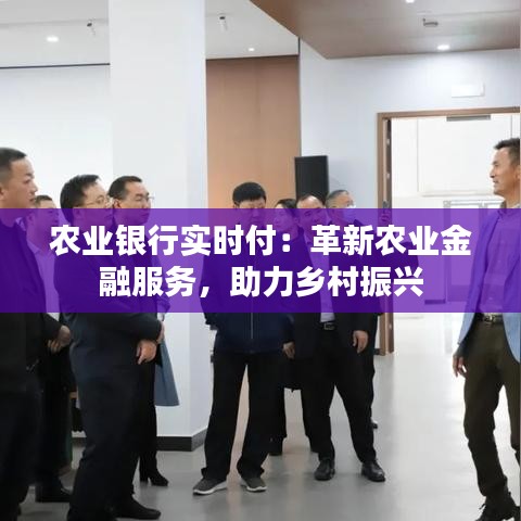 农业银行实时付：革新农业金融服务，助力乡村振兴