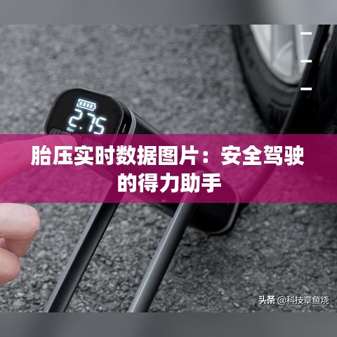 胎压实时数据图片：安全驾驶的得力助手