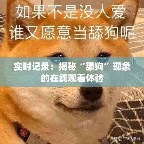 实时记录：揭秘“舔狗”现象的在线观看体验