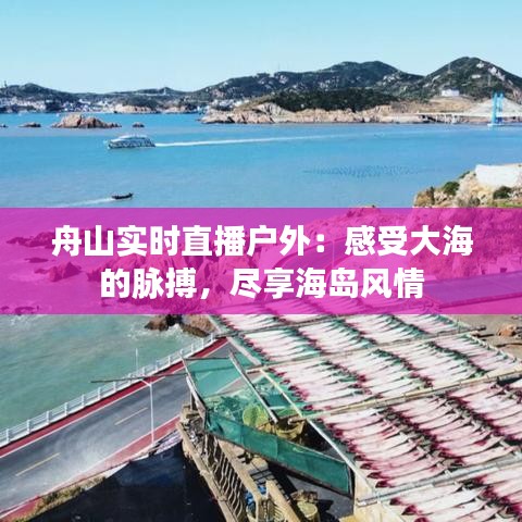 舟山实时直播户外：感受大海的脉搏，尽享海岛风情